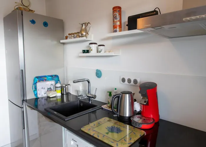 Apartment Lovely 48 M2 Appt With Sea View And Swimming Pool Antibes